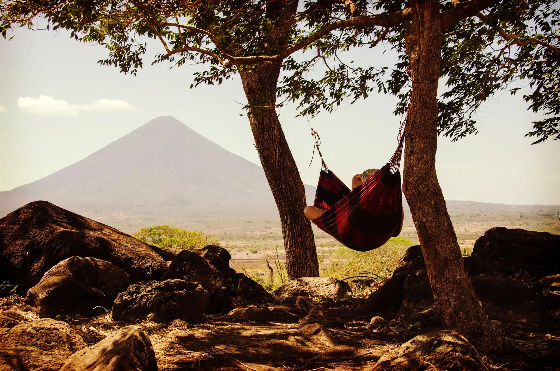 Time for a quieter life: 15 months after a heart attack and brief cardiac arrest
