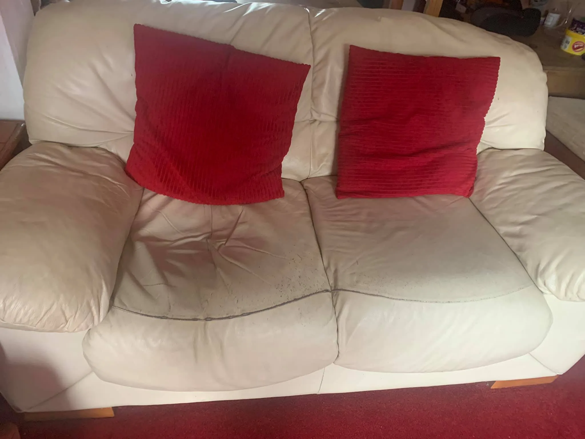 The Death Sofa: a survivor's complicated bond with the place she dropped dead