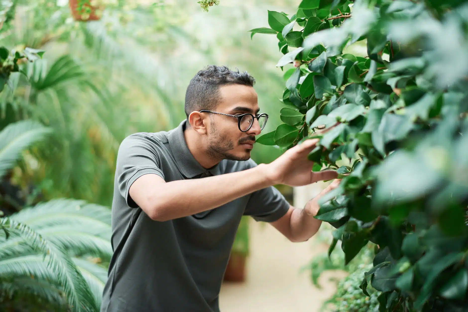 man wearing polo shirt standing near green plants