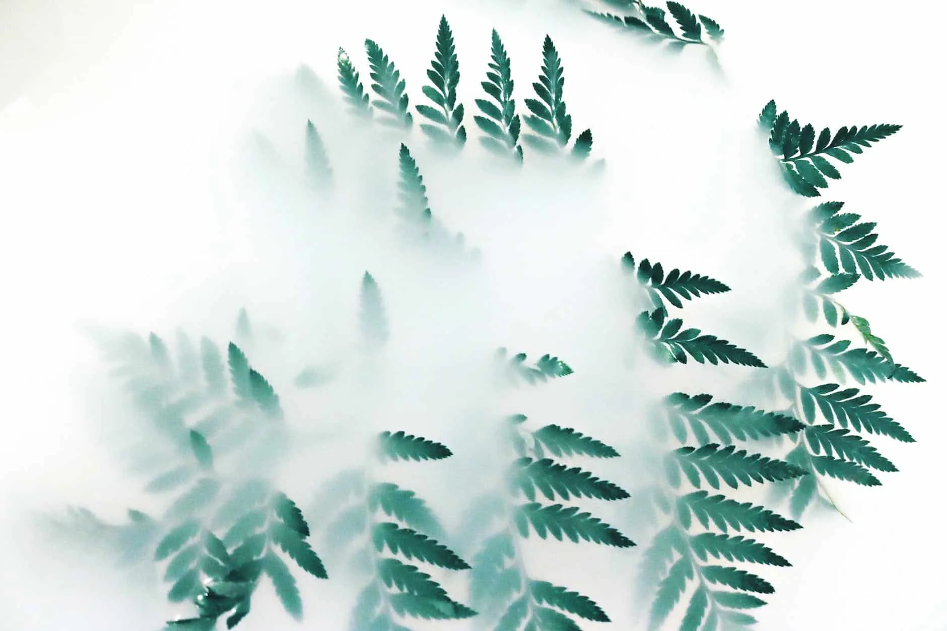 Recovering from brain fog and cognitive issues after cardiac arrest