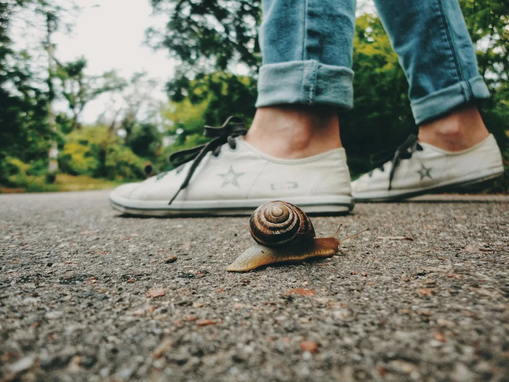 Close-up of a snail on a path with a person wearing sneakers in Odesa, Ukraine.